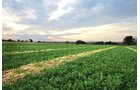 Property photo 5 - LAND & WATER RIGHTS AUCTION - 33+/- ACRES & 67 WATER UNITS/SHARES IN 26 TRACTS IN BOULDER COUNTY, CO